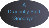   A 
   Dragonfly Said,
     “Goodbye.”